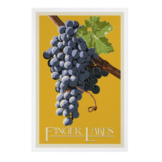 Wine Grapes, Finger Lakes, NY - Premium Postcards