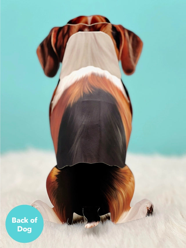 Beagle | Pop-Up Greeting Card