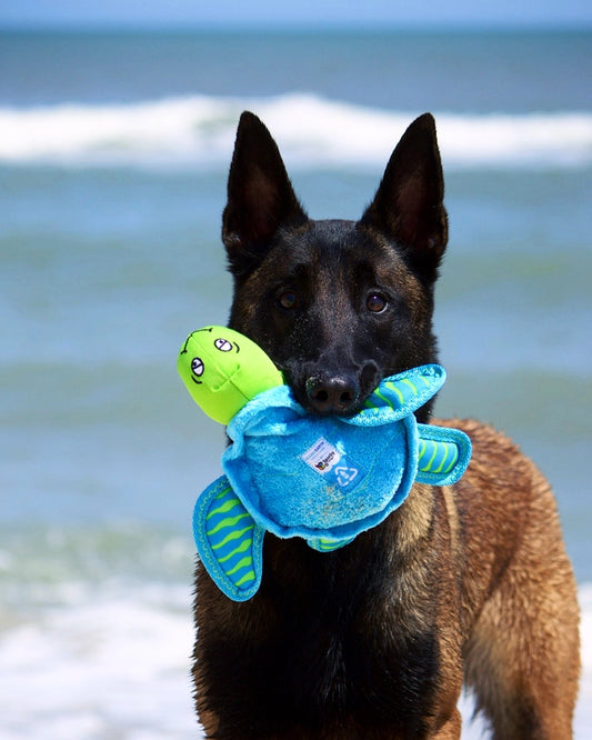 Turtle | Clean Earth Recycled Plush Toy