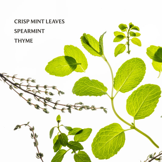 Frosted Mint | Power Mist Hydrating Hand Sanitizer