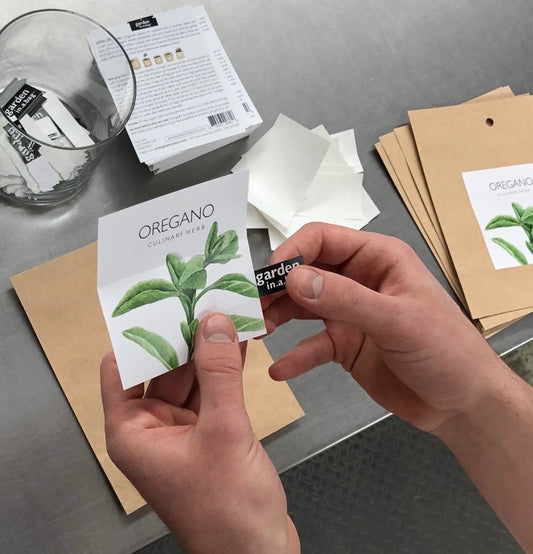 Cilantro | Garden In A Bag