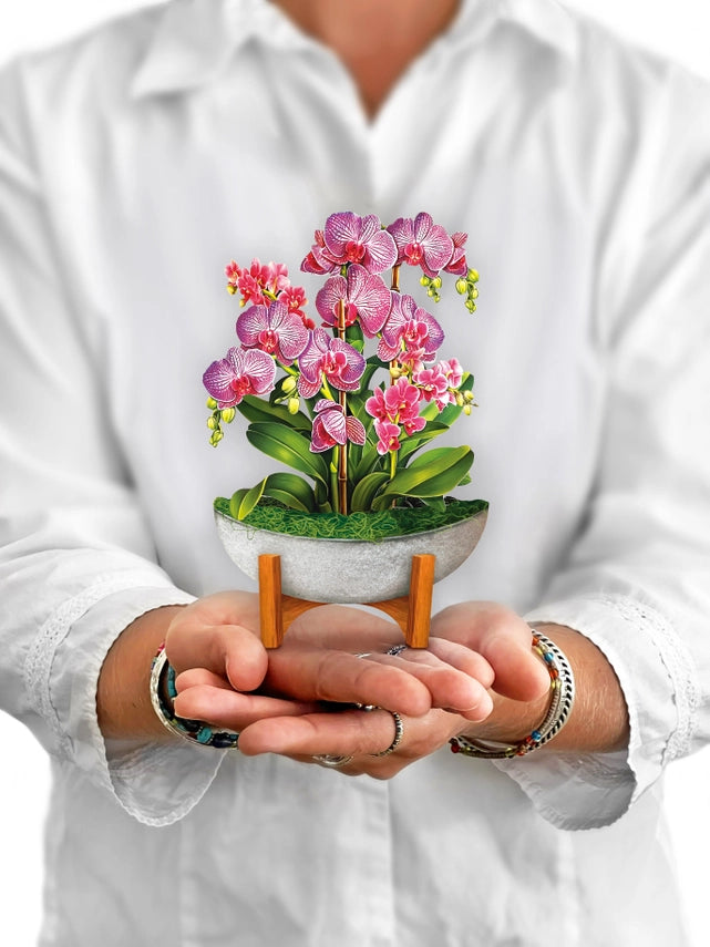 Mini Orchid Oasis | Pop-Up Greeting Card