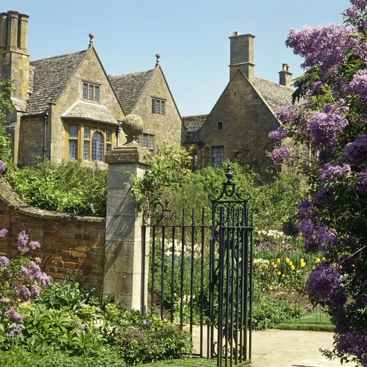 Miss Woodhouse - 10oz Soy Wax Book Inspired Candle