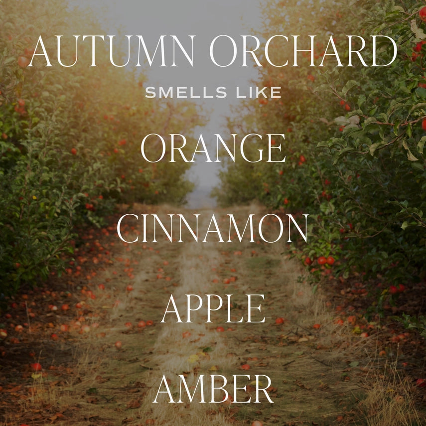 Autumn Orchard | 9oz Soy Candle