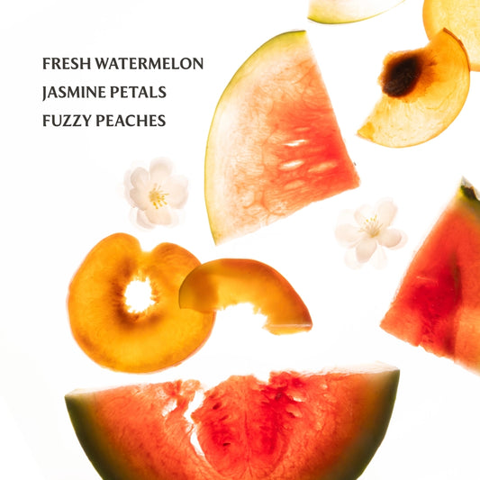 Wild Watermelon | Power Mist Hydrating Hand Sanitizer