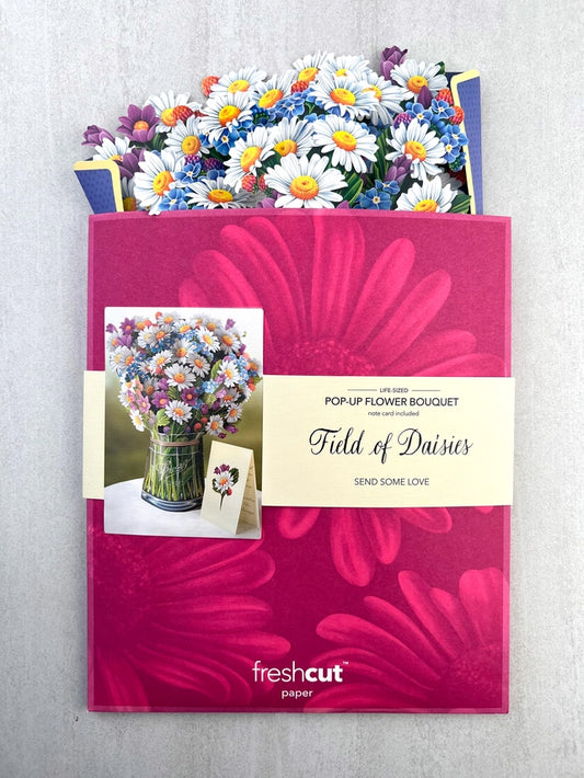 Field Of Daisies | Pop-Up Greeting Card
