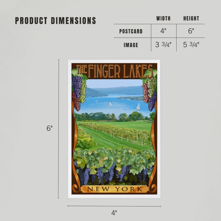 Vineyard, Finger Lakes, NY - Premium Postcards