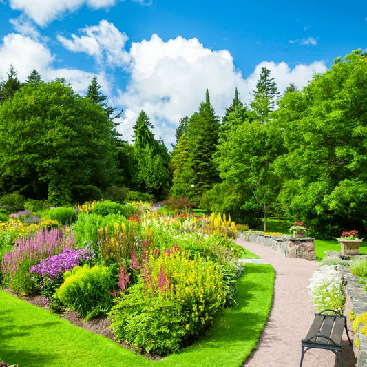 Glass Slipper - 10oz Soy Wax Book Inspired Candle