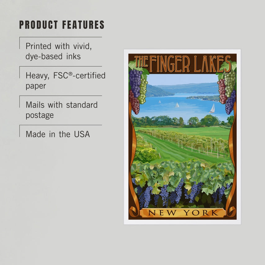 Vineyard, Finger Lakes, NY - Premium Postcards