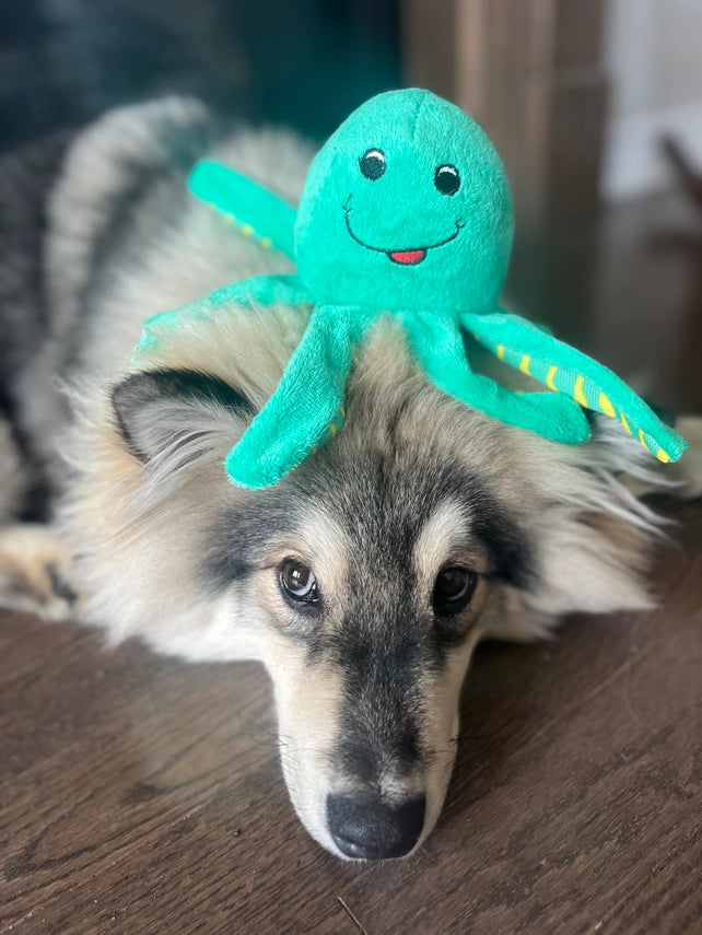 Turtle | Clean Earth Recycled Plush Toy