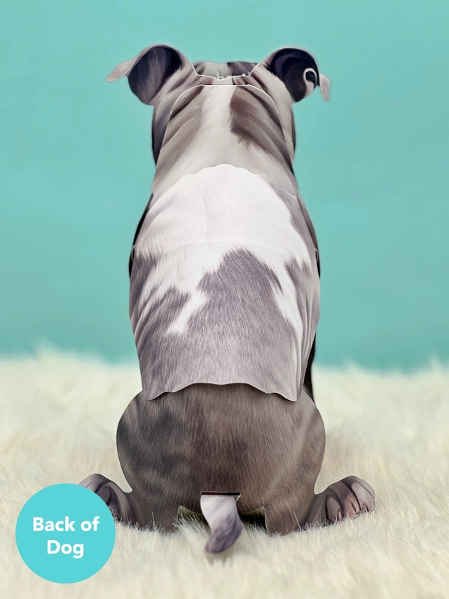 Gray Pitbull | Pop-Up Greeting Card