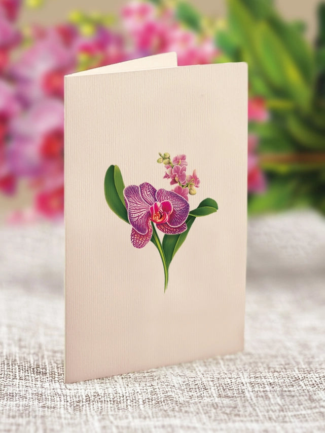 Mini Orchid Oasis | Pop-Up Greeting Card