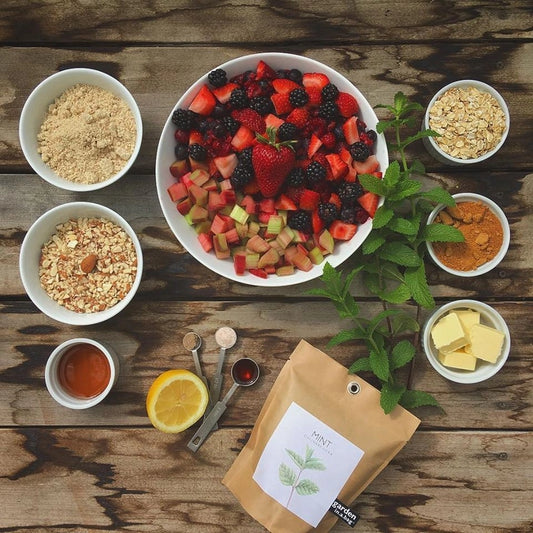 Mint | Garden In A Bag