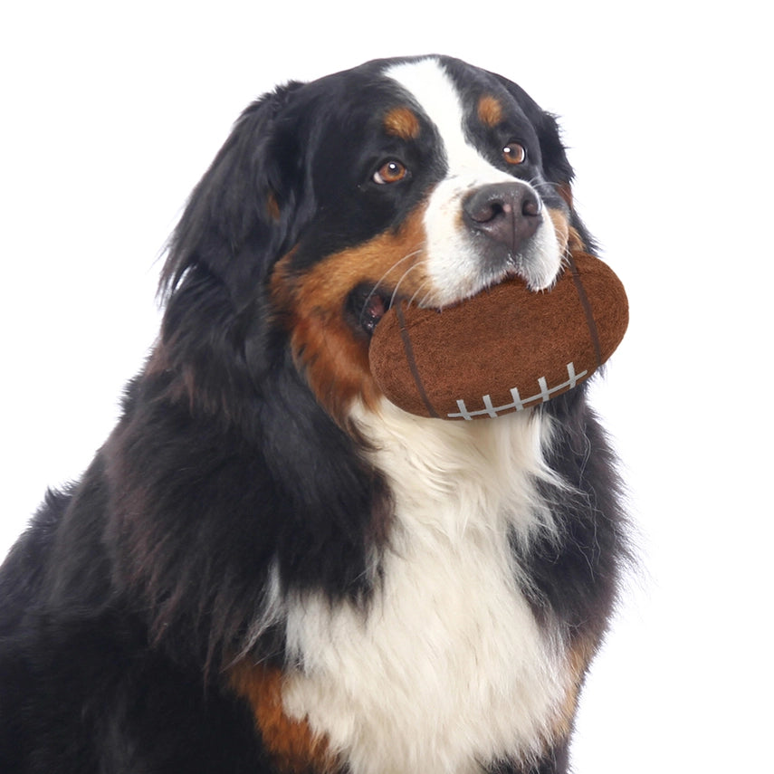 Tough Chewer Pet Ball | Buffalo Bills