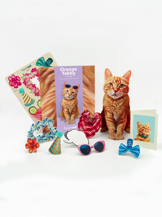Orange Tabby | Pop-Up Greeting Card