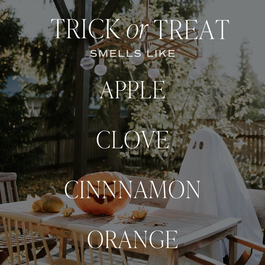 Trick Or Treat | 9oz Soy Candle