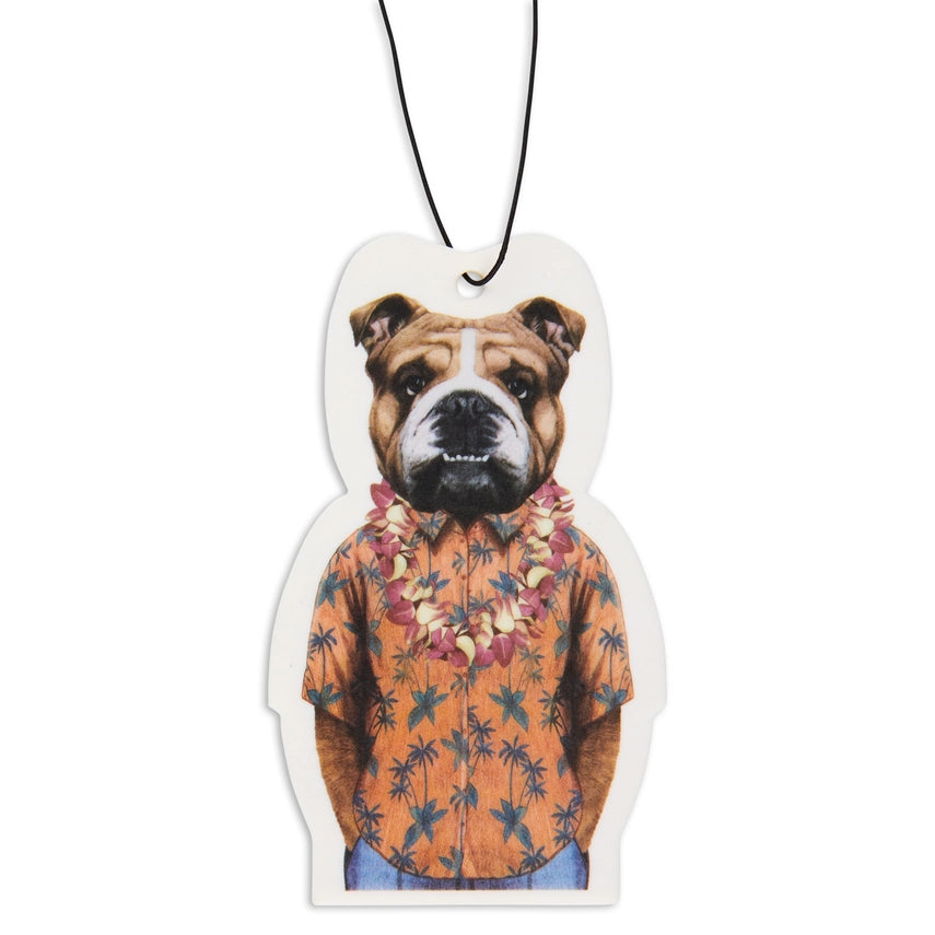 Bulldog In Hawaii Air Freshener