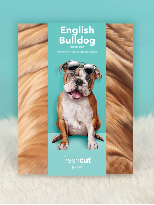 English Bulldog | Pop-Up Greeting Card (NEW ARRIVAL)
