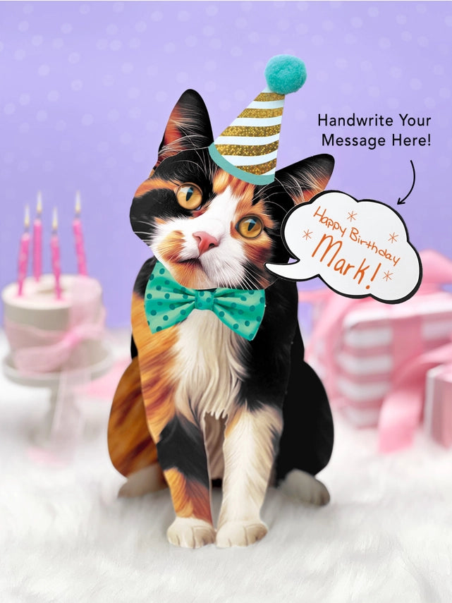 Calico Cat | Pop-Up Greeting Card