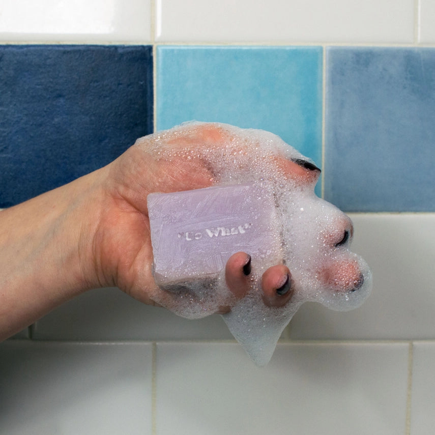 Andy's Fifteen Minutes Of Foam Bar Soap