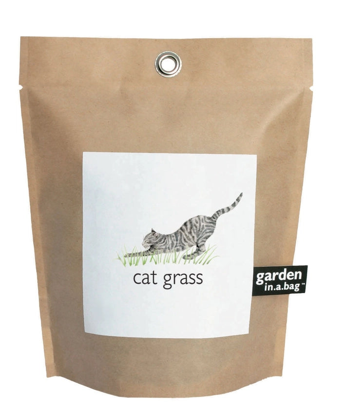 Cat Grass | Garden In A Bag