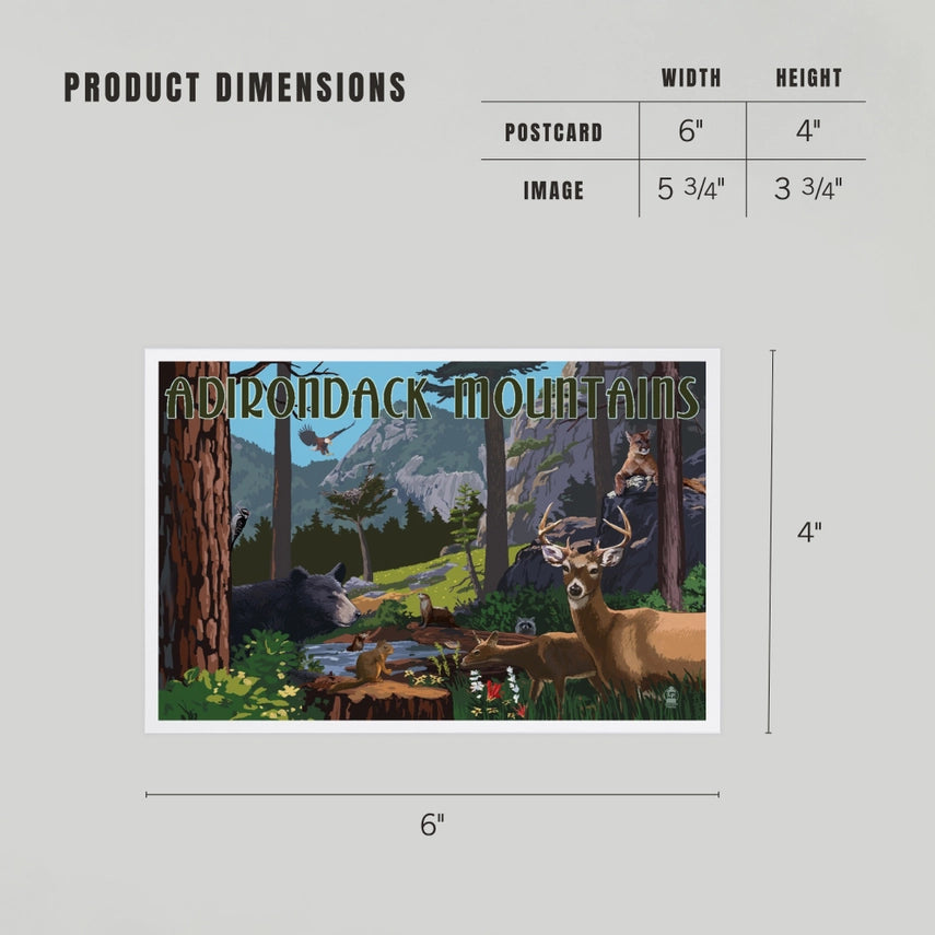 Wildlife, Adirondack Mountains, NY - Premium Postcards