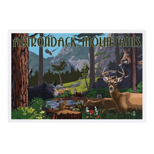 Wildlife, Adirondack Mountains, NY - Premium Postcards