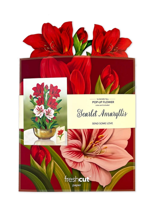 Scarlet Amaryllis | Pop-Up Greeting Card