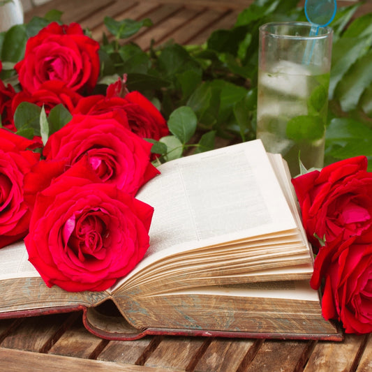 Enchanted Library - 10oz Soy Wax Book Inspired Candle