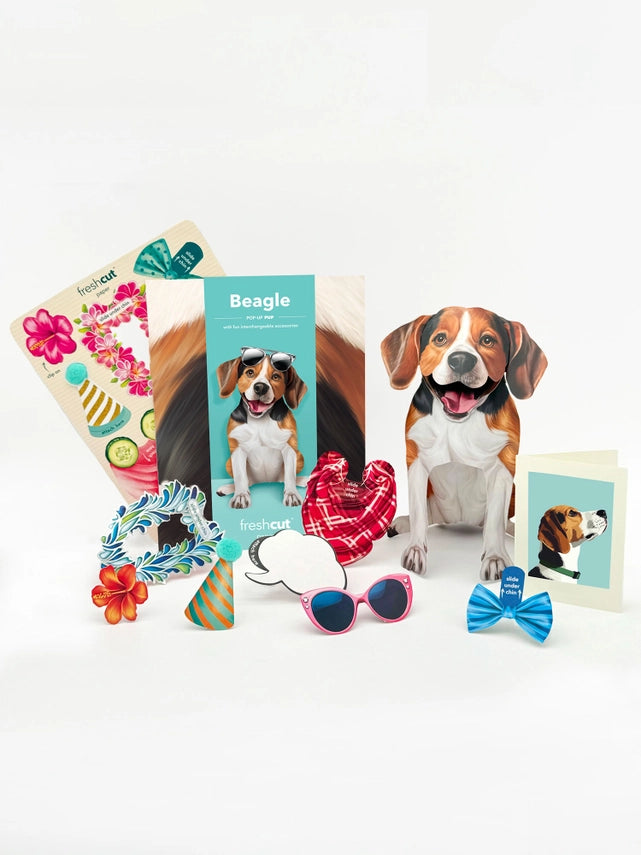 Beagle | Pop-Up Greeting Card