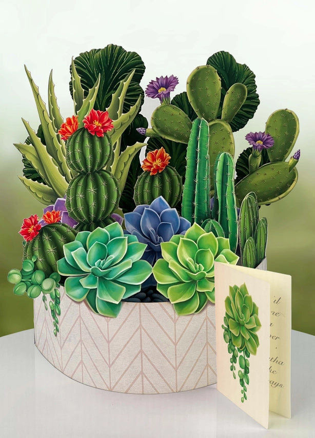 Cactus Garden | Pop-Up Greeting Card