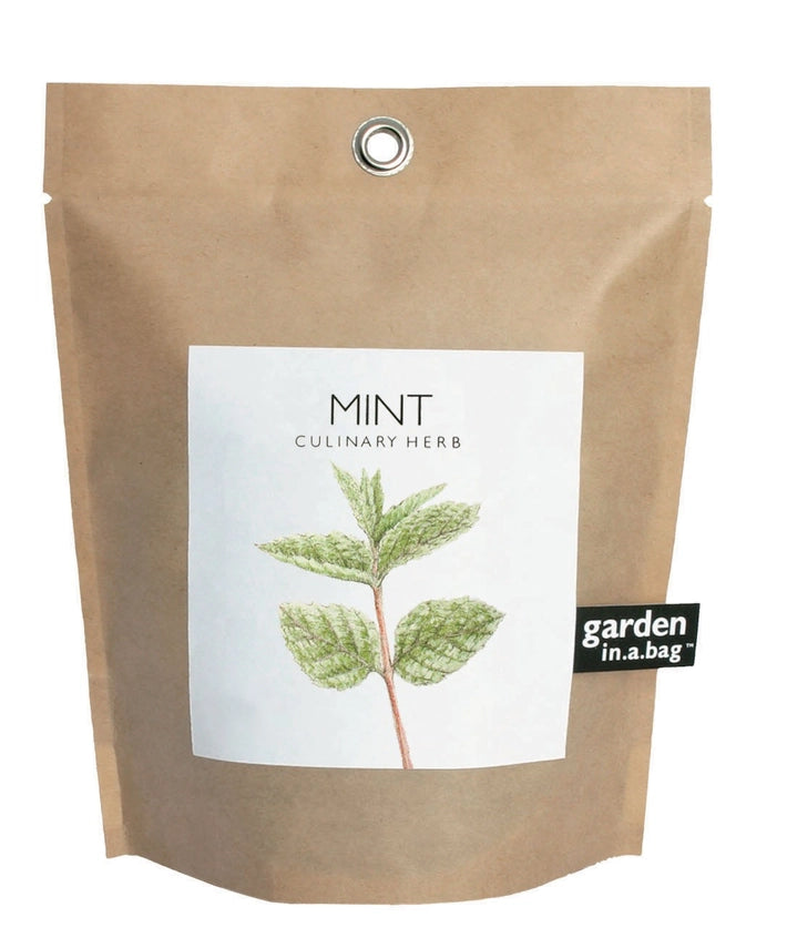 Mint | Garden In A Bag