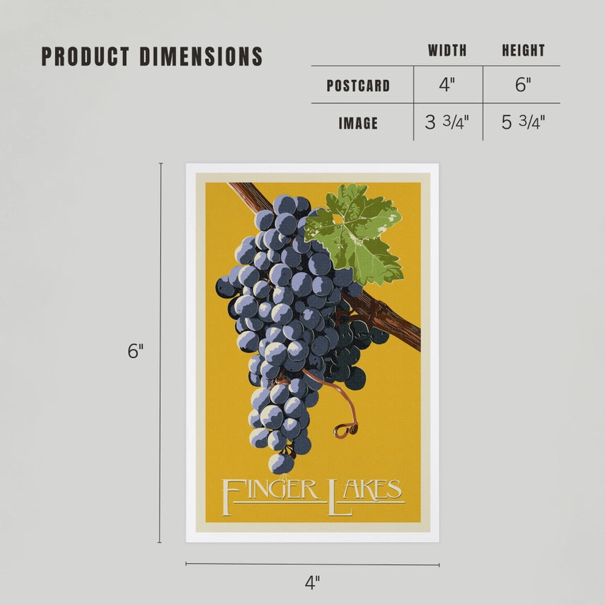 Wine Grapes, Finger Lakes, NY - Premium Postcards