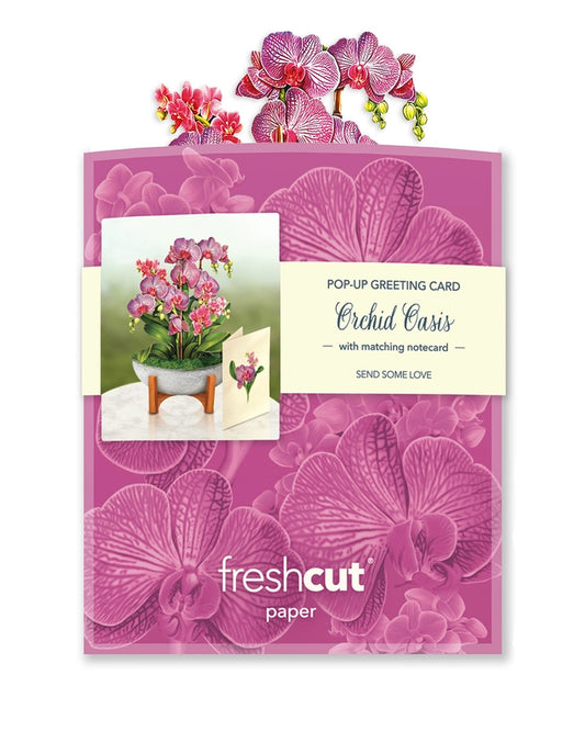 Mini Orchid Oasis | Pop-Up Greeting Card