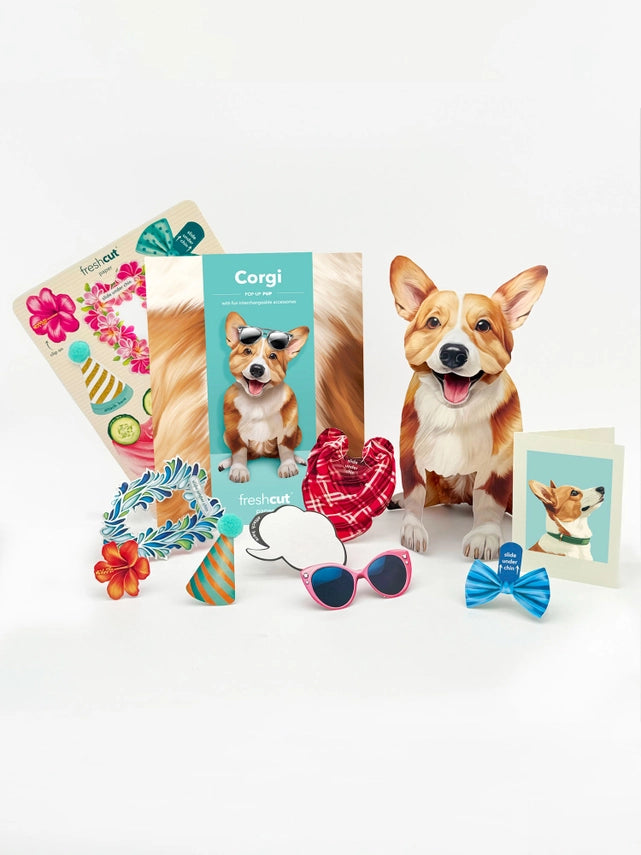 Corgi | Pop-Up Greeting Card