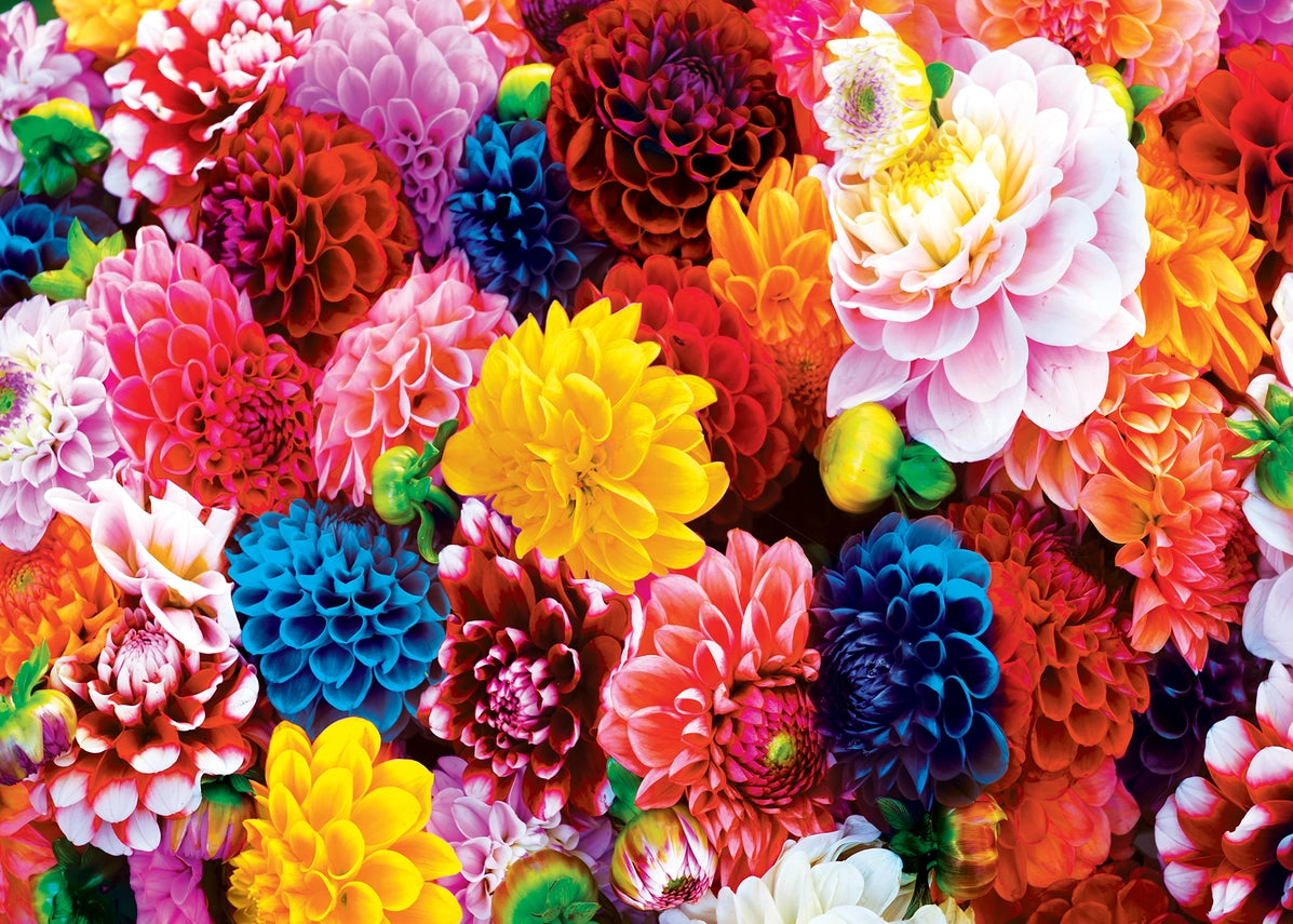 Beautiful Blooms 500PC Puzzle