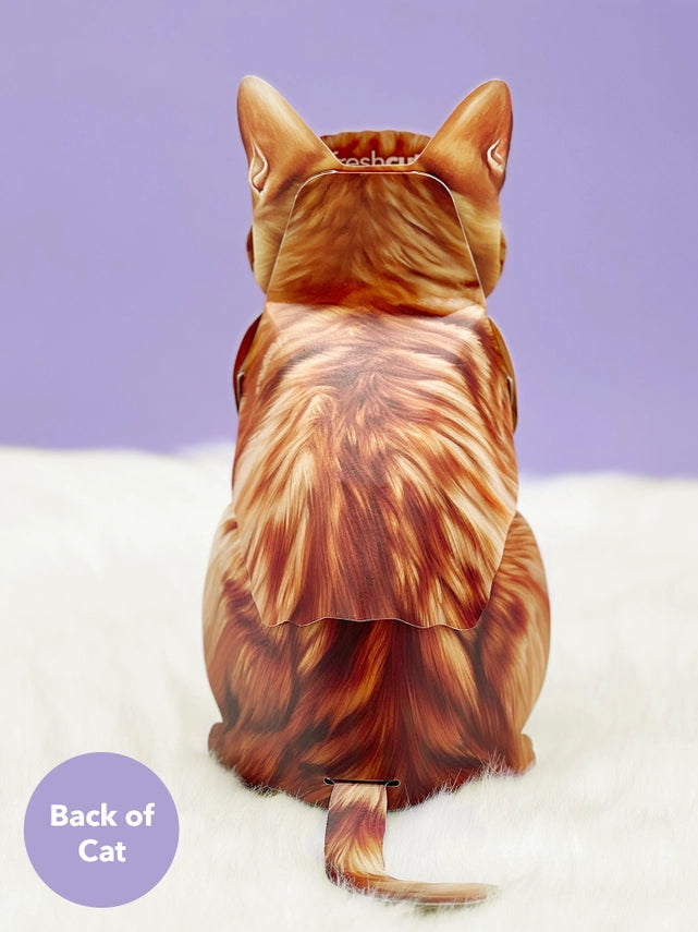 Orange Tabby | Pop-Up Greeting Card