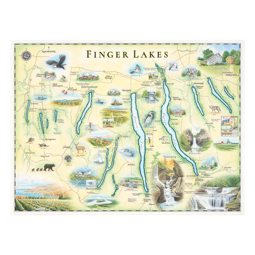 Hand-Drawn Map | Finger Lakes, NY