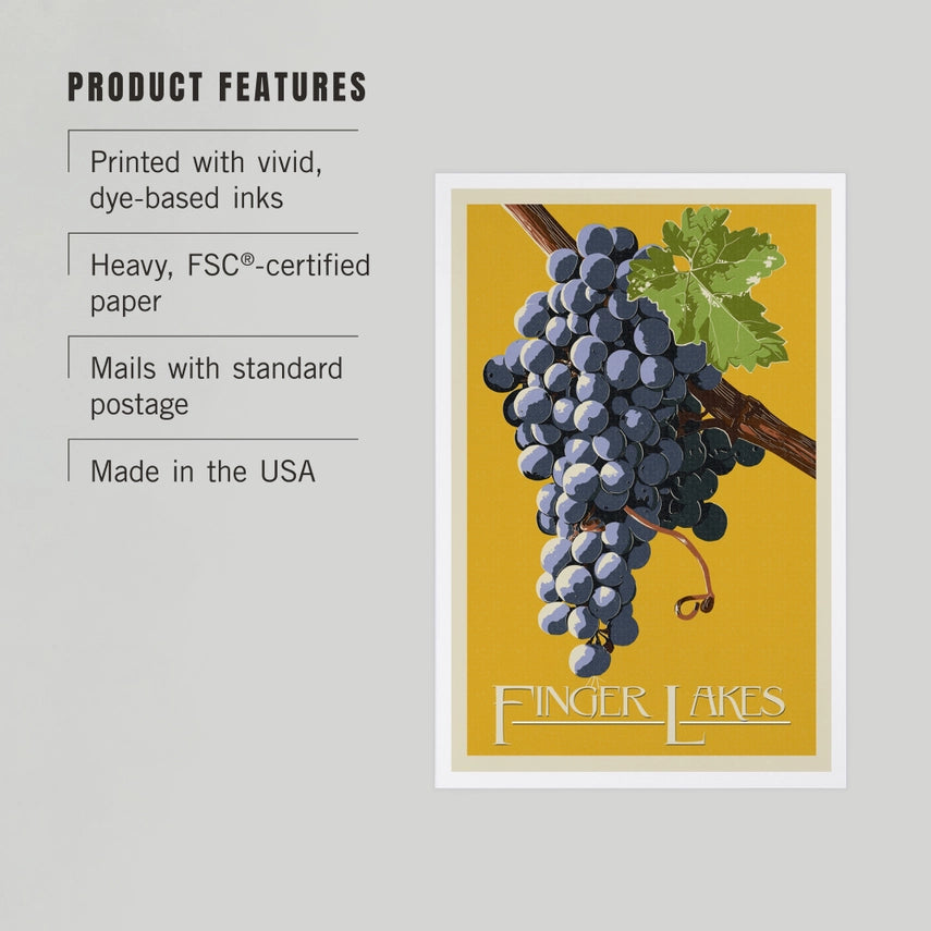 Wine Grapes, Finger Lakes, NY - Premium Postcards