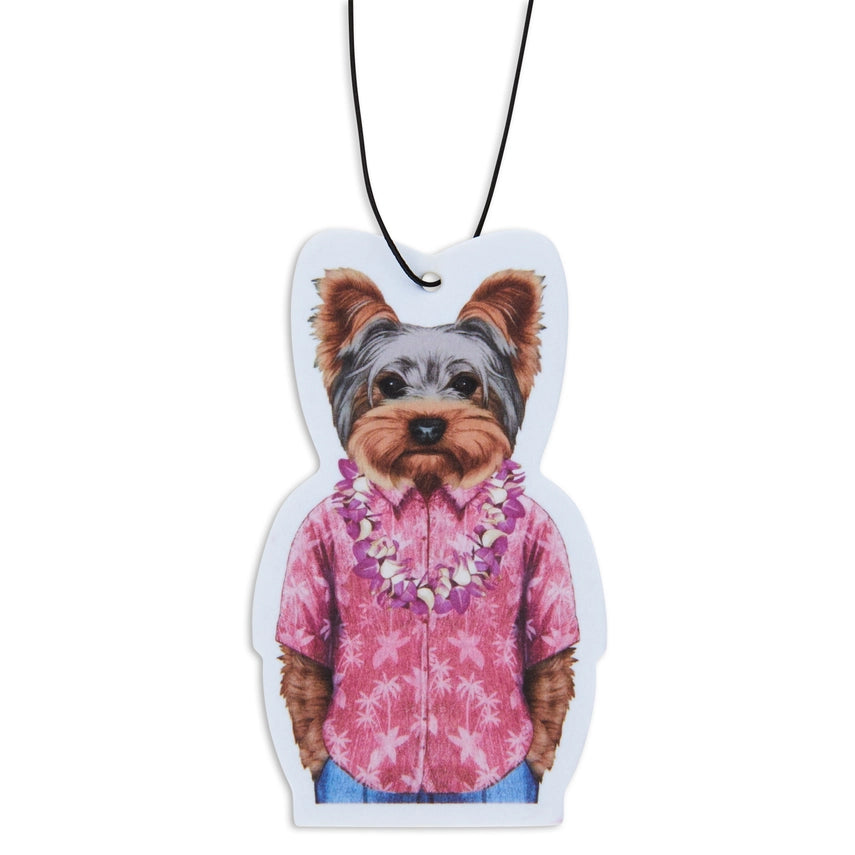 Yorkie In Hawaii Air Freshener