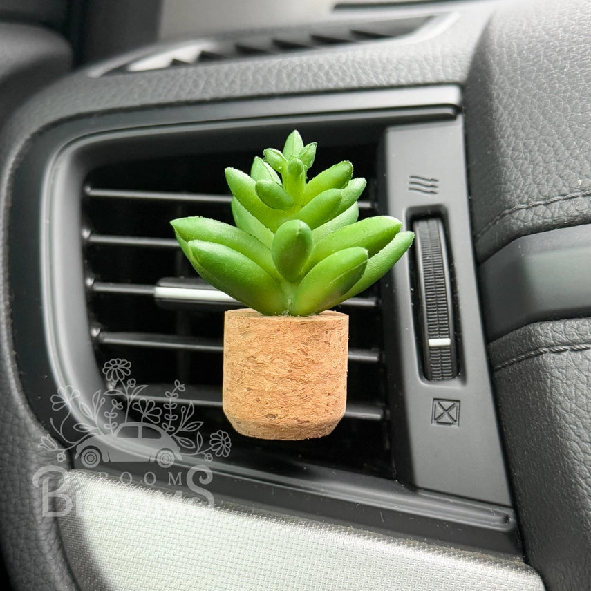 Succulent Plant | Car Diffuser Vent Clip (NEW ARRIVAL)