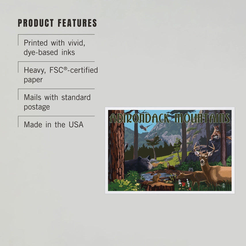 Wildlife, Adirondack Mountains, NY - Premium Postcards