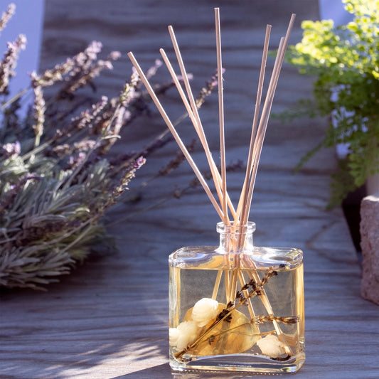 Amber Lavender | Botanical Reed Diffuser