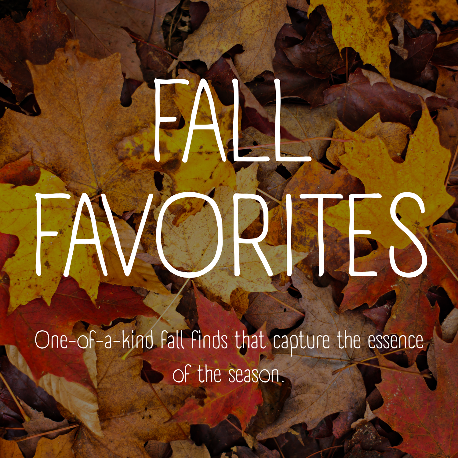 Fall Favorites