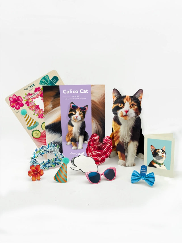 Calico Cat | Pop-Up Greeting Card