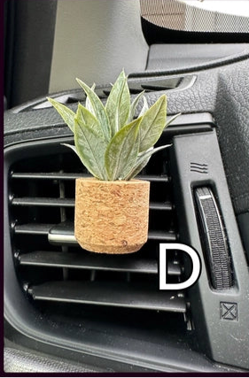 Snake Plant | Car Diffuser Vent Clip (NEW ARRIVAL)
