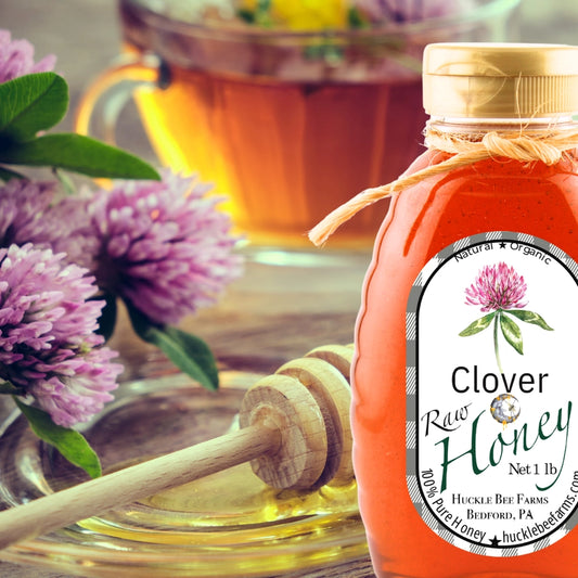 Clover Raw Honey 8oz (NEW ARRIVAL)