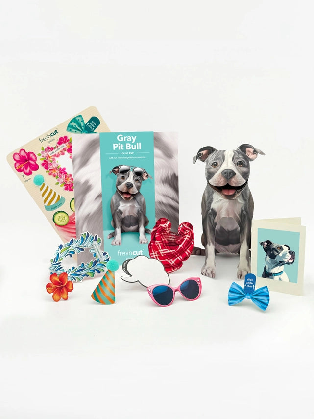 Gray Pitbull | Pop-Up Greeting Card