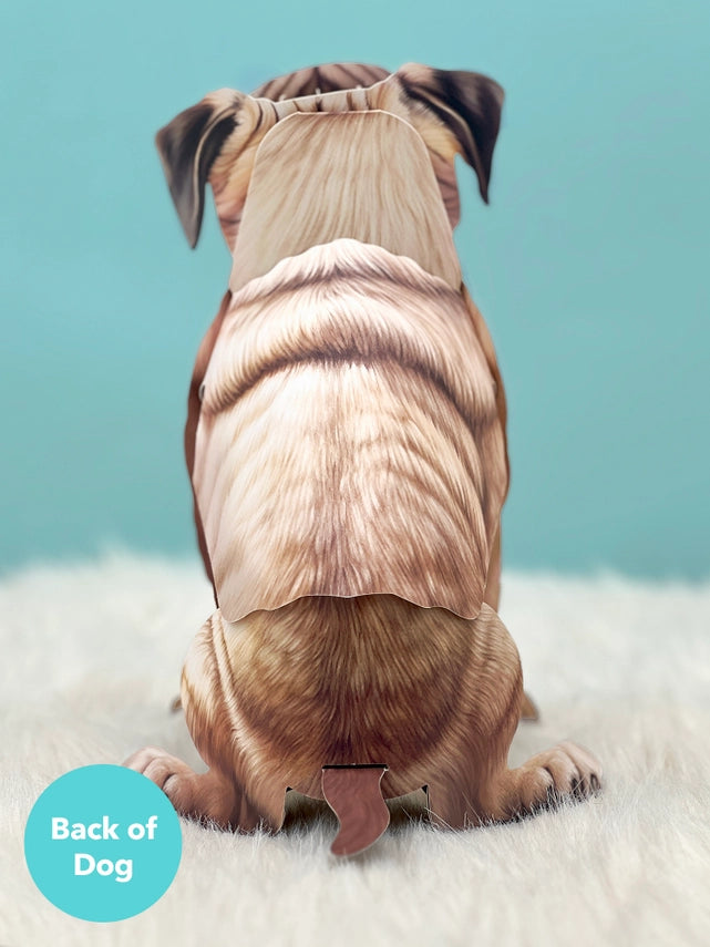 Pug | Pop-Up Greeting Card