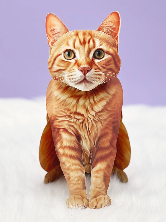 Orange Tabby | Pop-Up Greeting Card